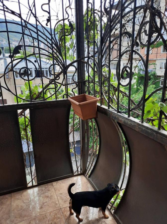 Tbilisi Philharmonia Apartment Экстерьер фото